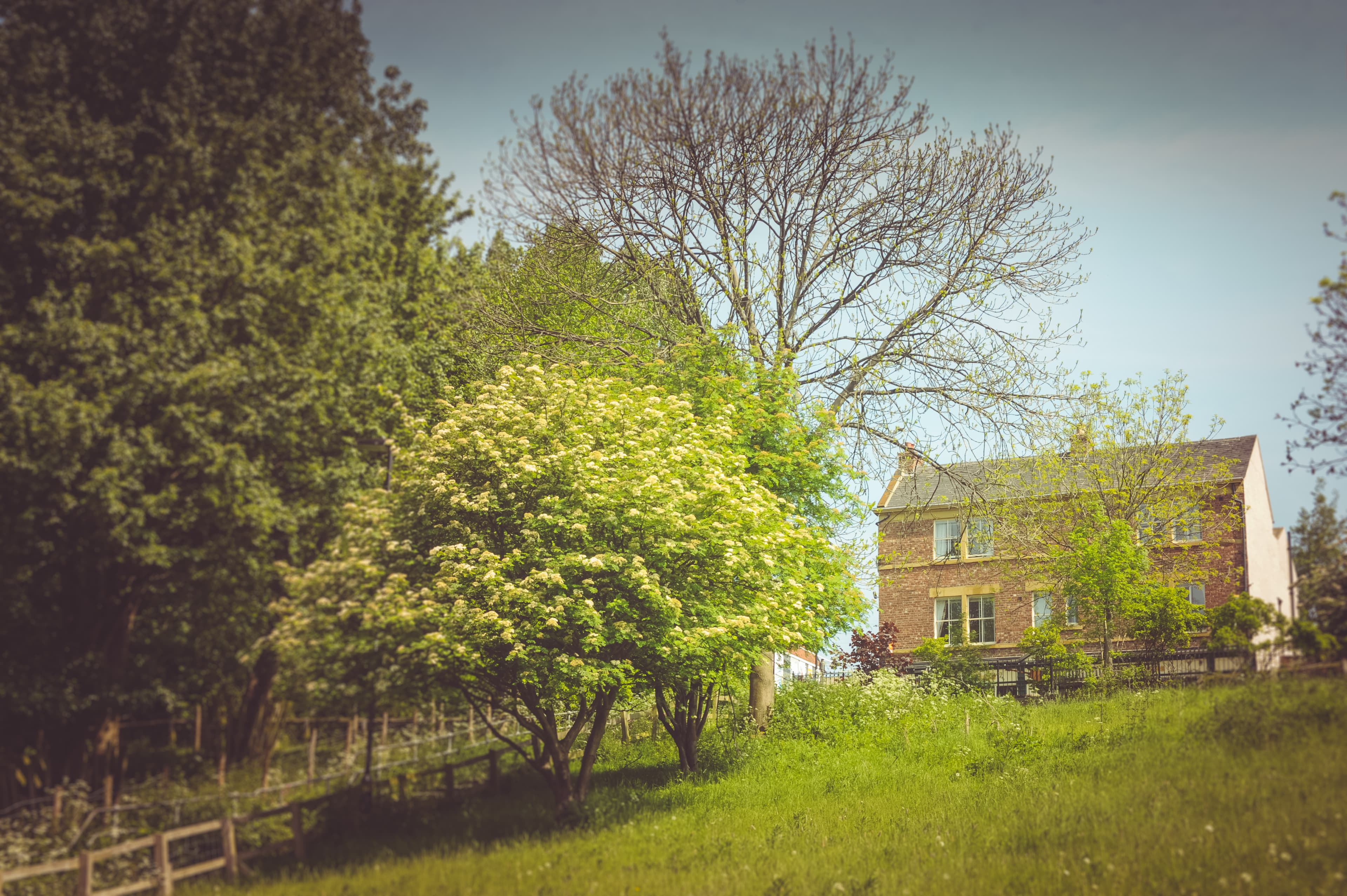 Cumberland Arms